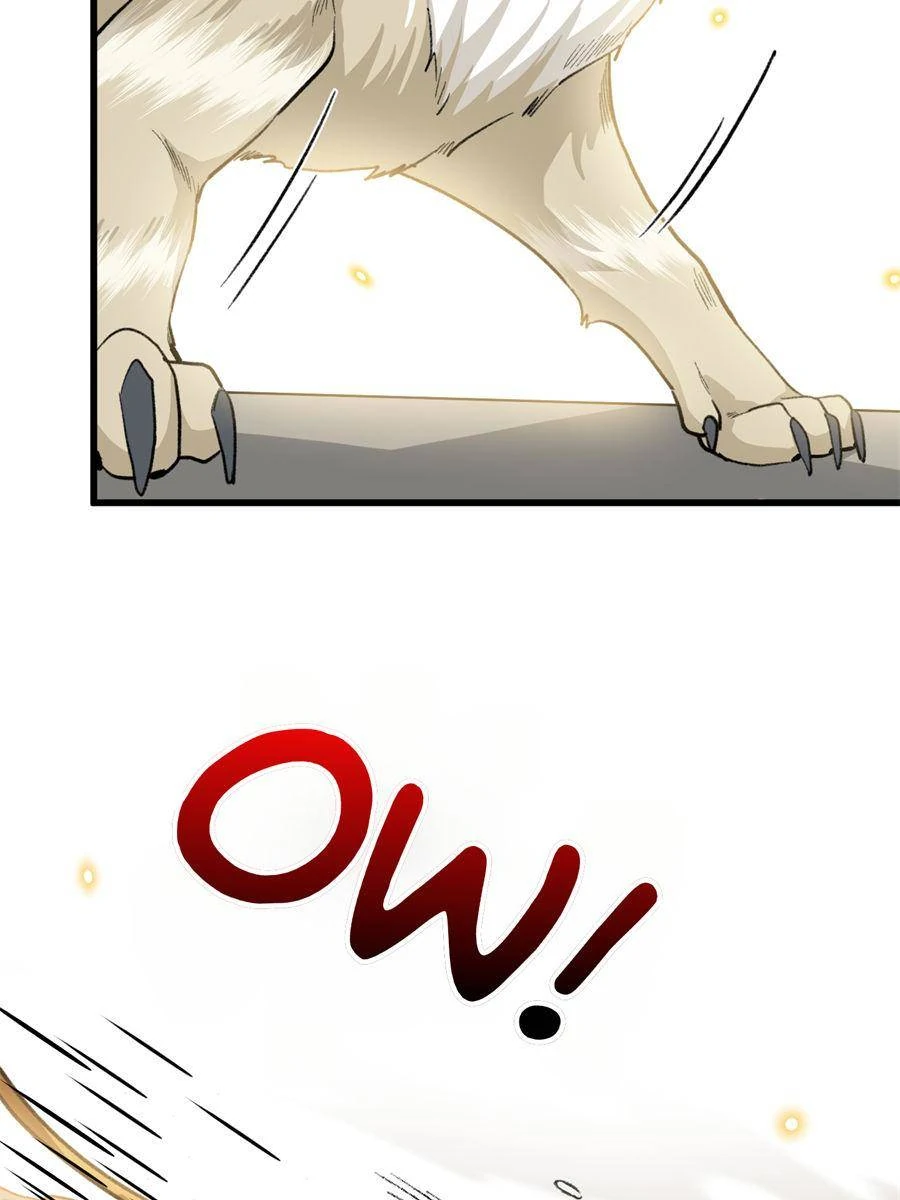 81490538 900 1200 64526